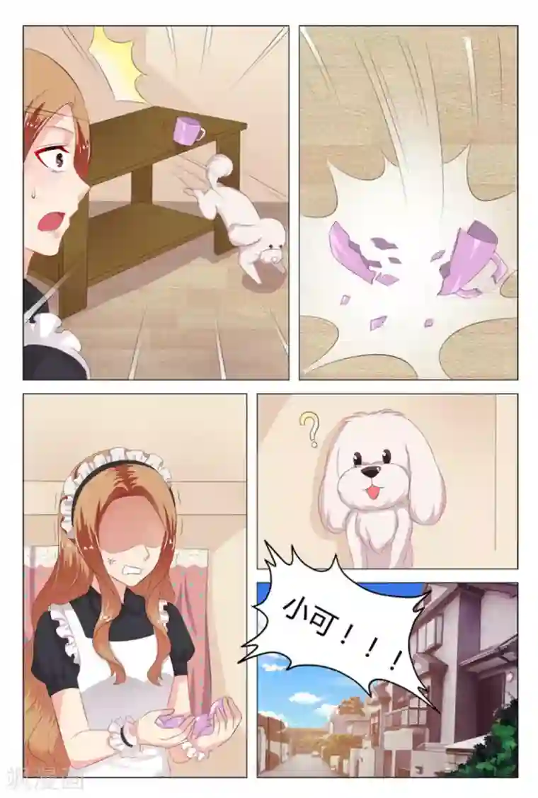 我的房东是泰迪第11话