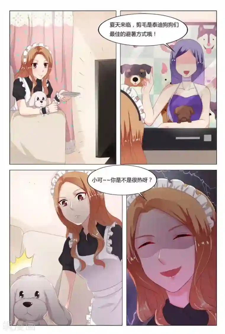 我的房东是泰迪第11话