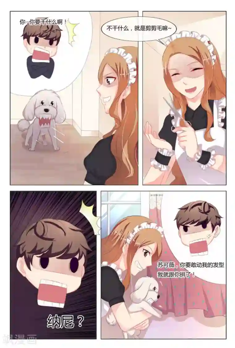 我的房东是泰迪第11话