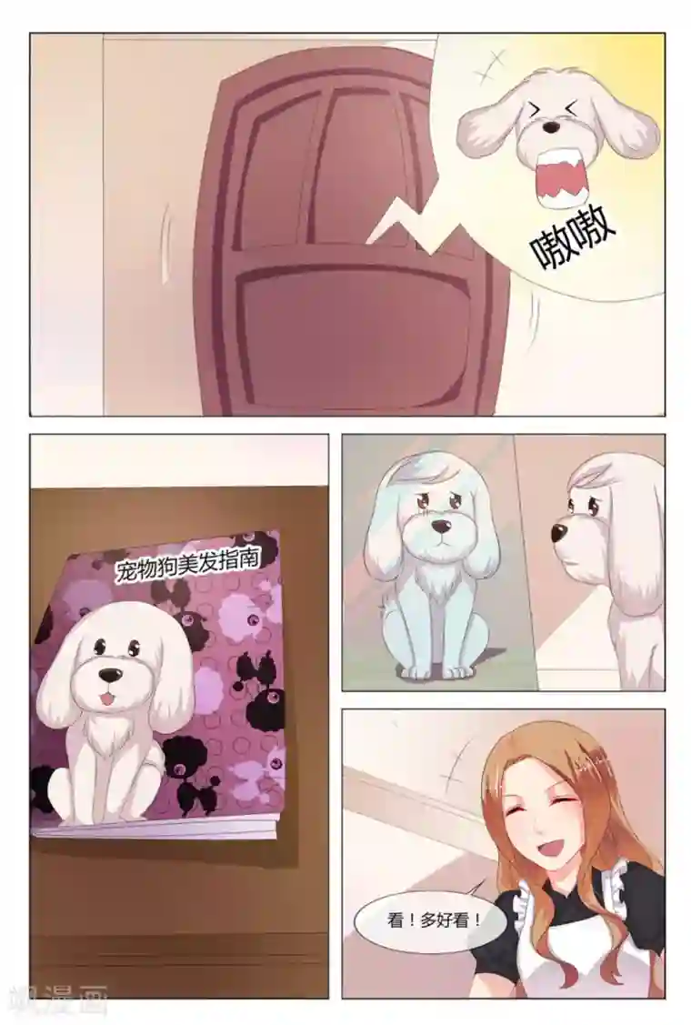 我的房东是泰迪第11话