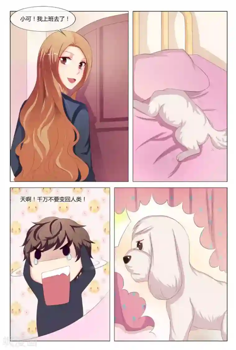 我的房东是泰迪第11话