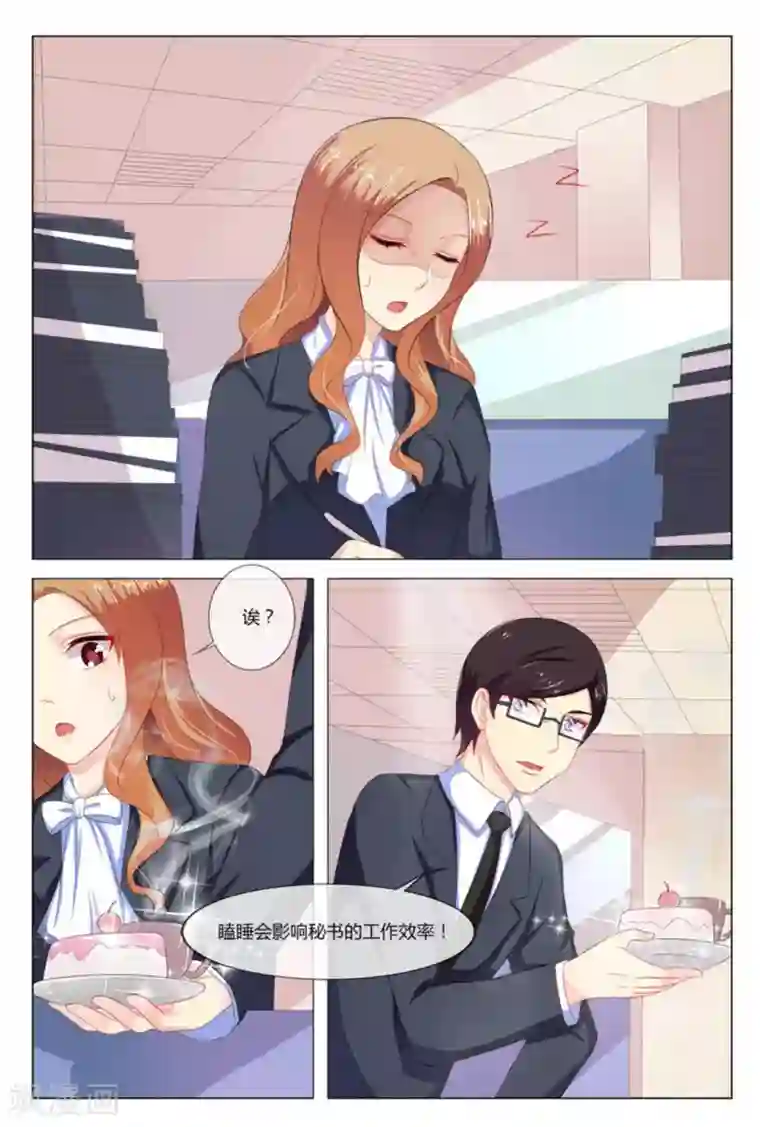 我的房东是泰迪第12话