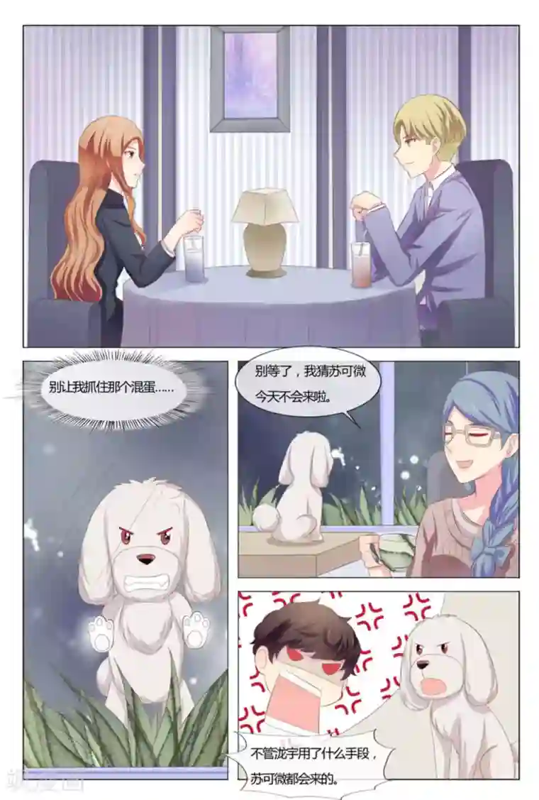 我的房东是泰迪第40话