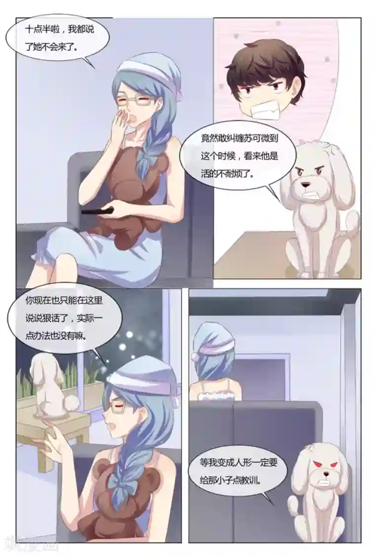 我的房东是泰迪第40话