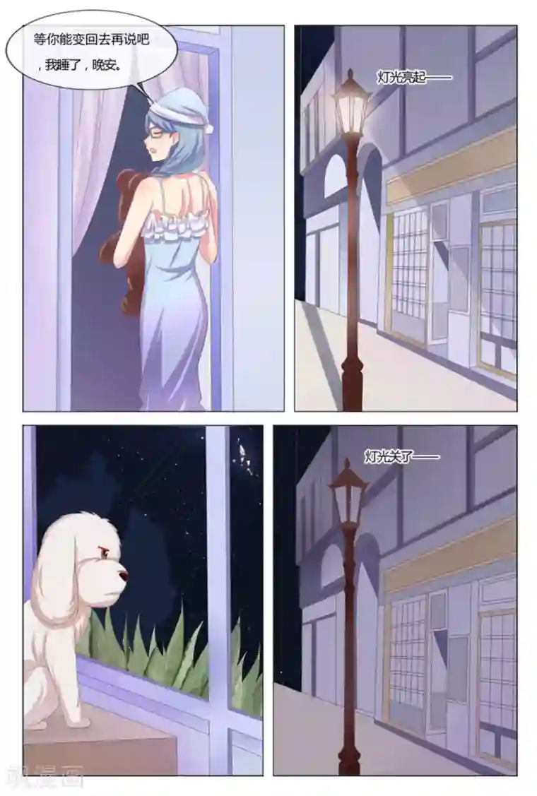 我的房东是泰迪第40话