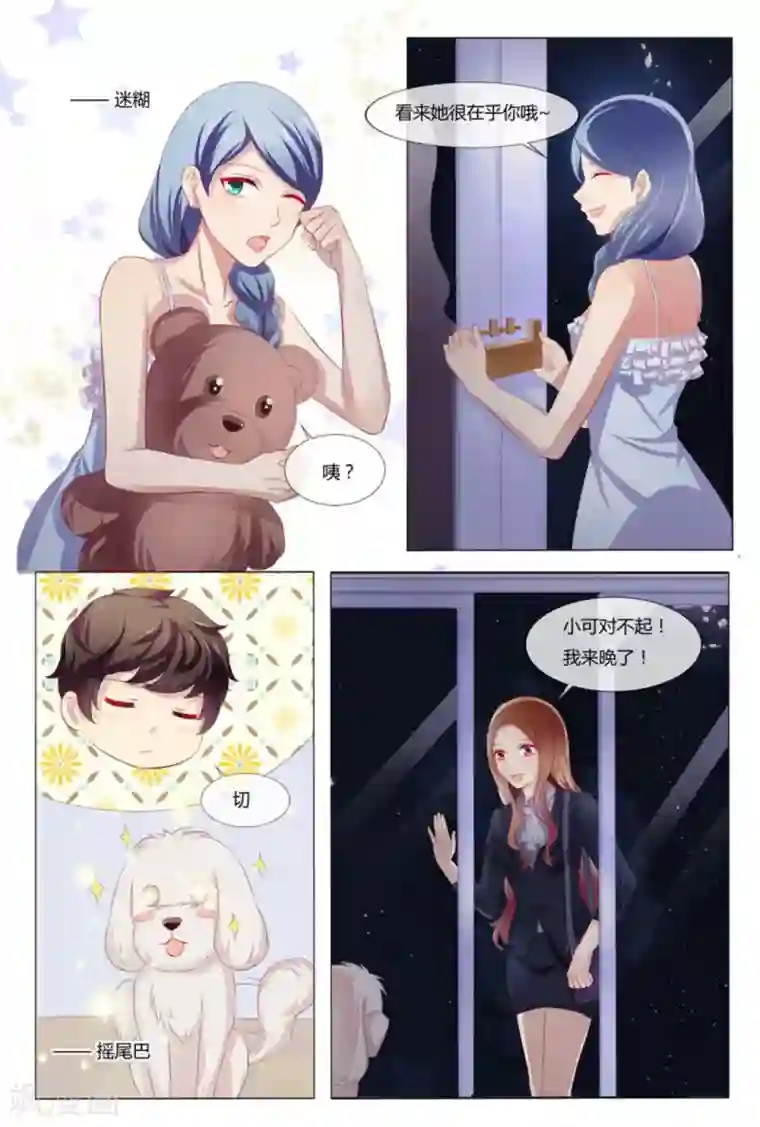 我的房东是泰迪第41话