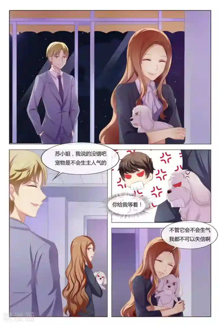 我的房东是泰迪第41话