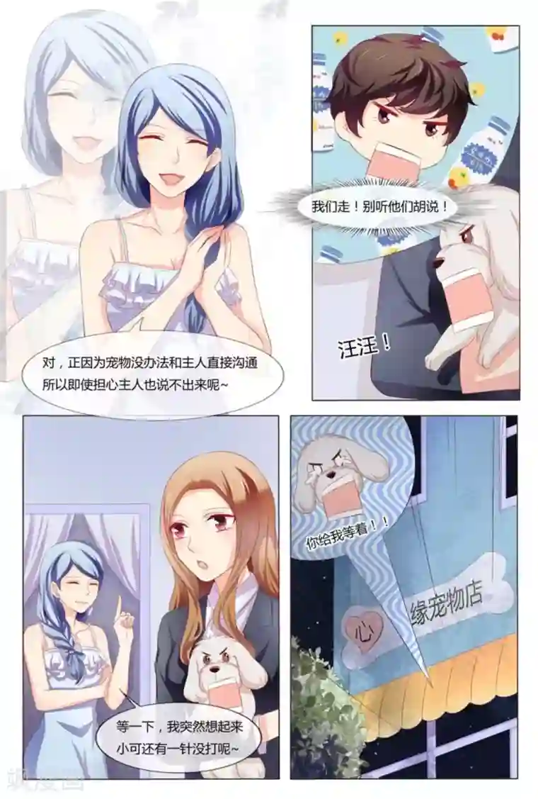 我的房东是泰迪第41话