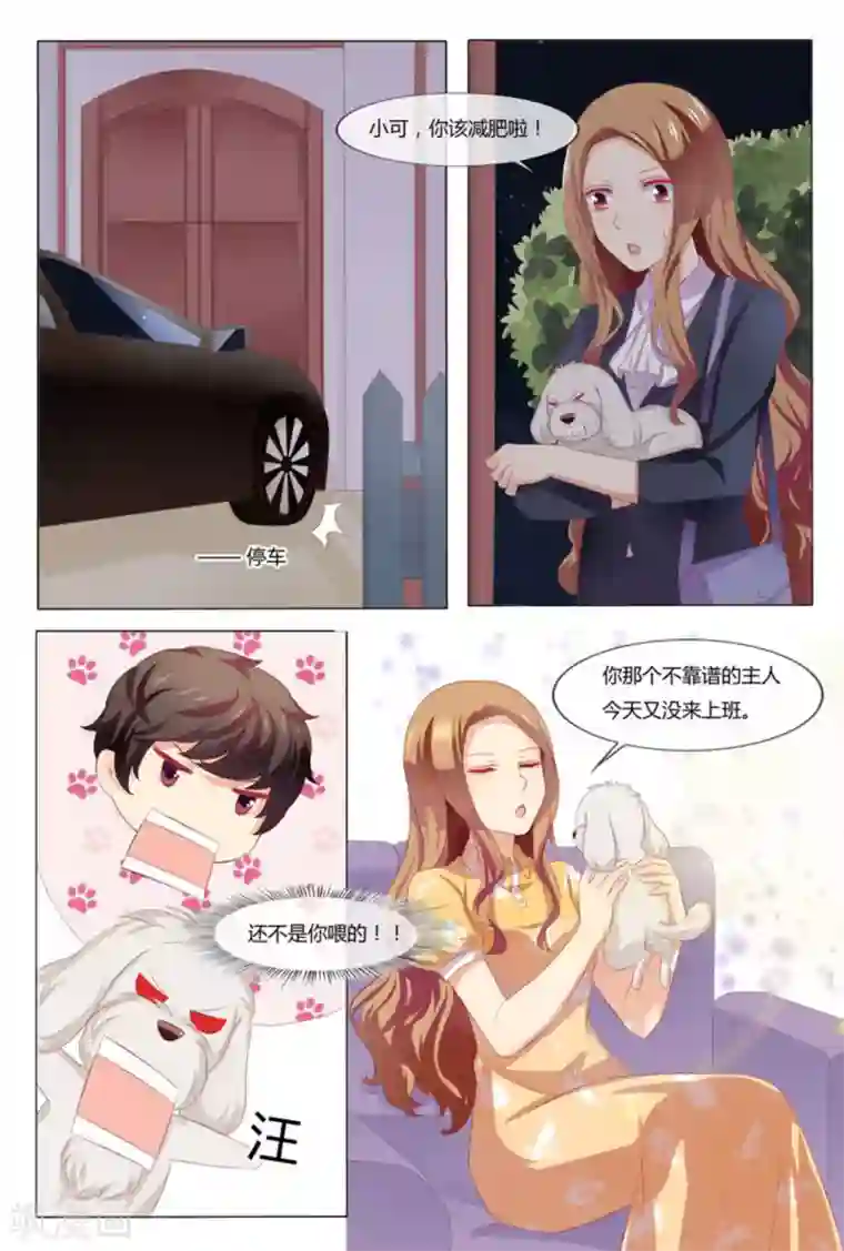 我的房东是泰迪第41话