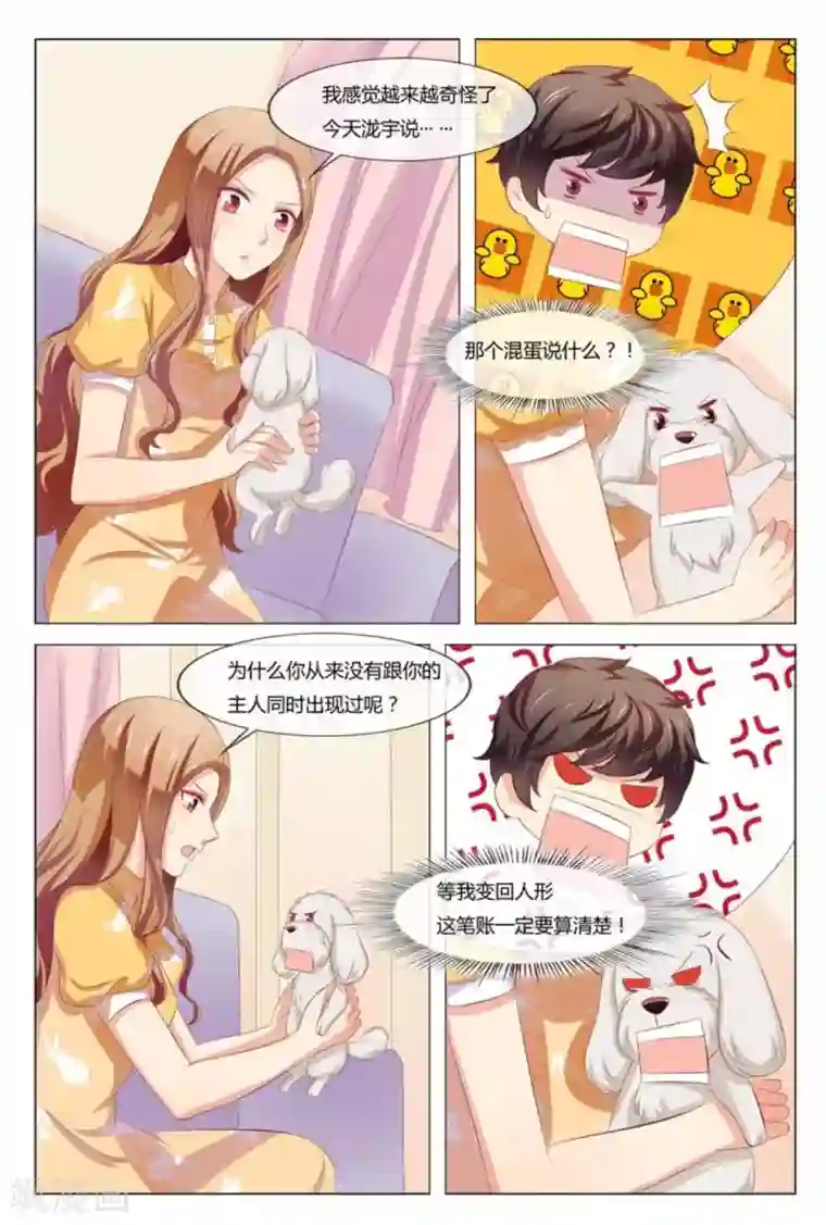 我的房东是泰迪第41话