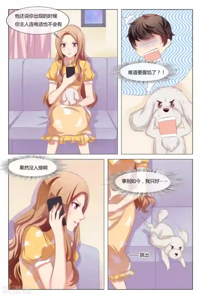 我的房东是泰迪第41话