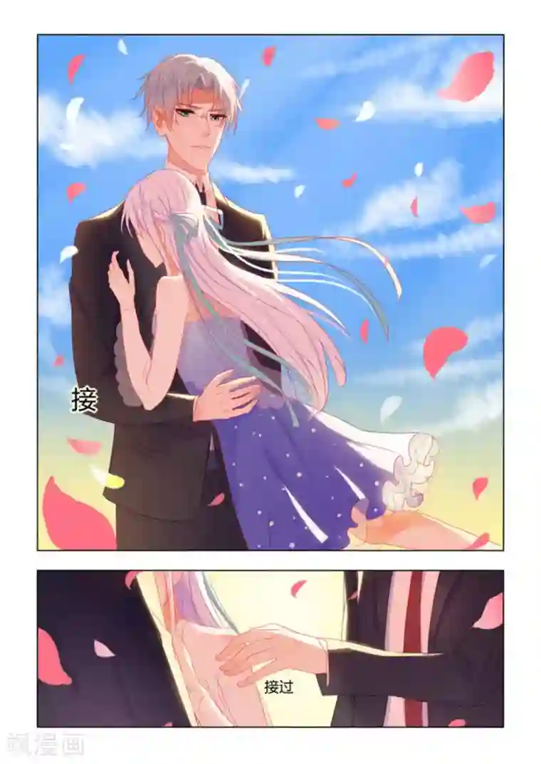 紫色蔷薇第12话