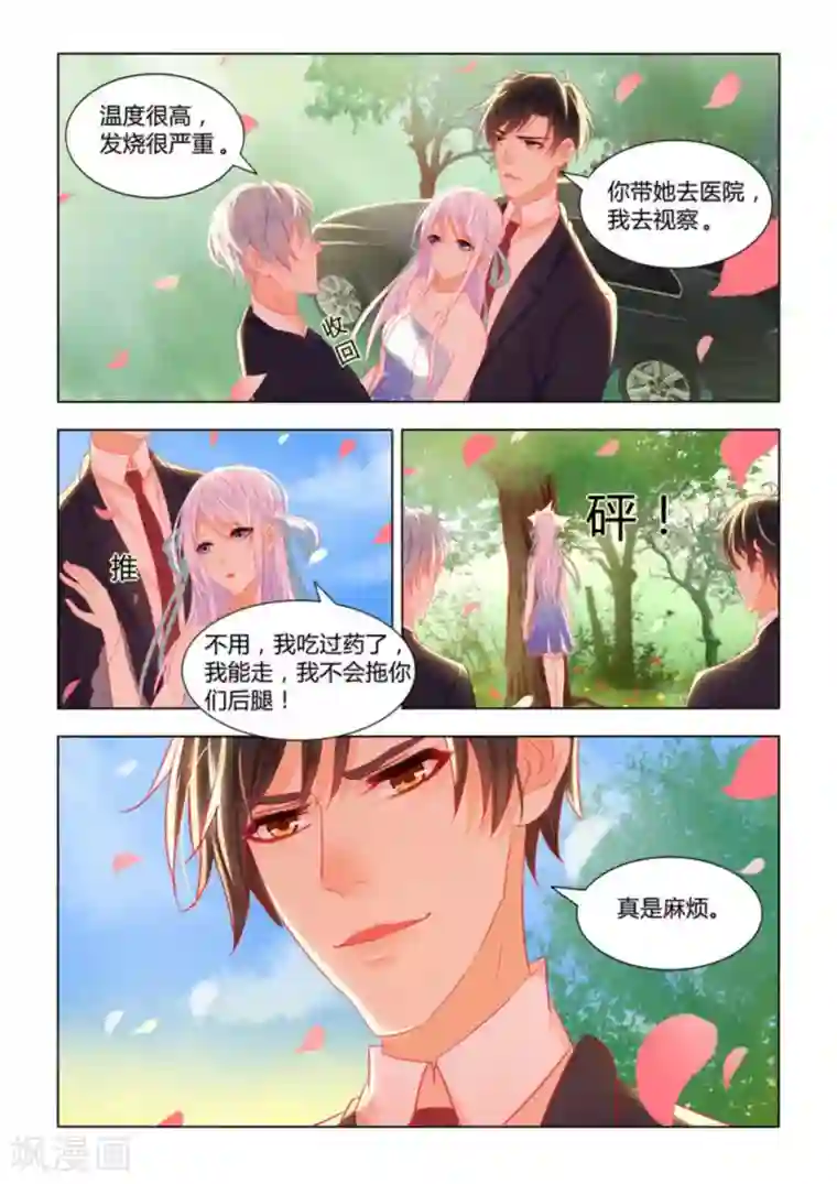 紫色蔷薇第12话