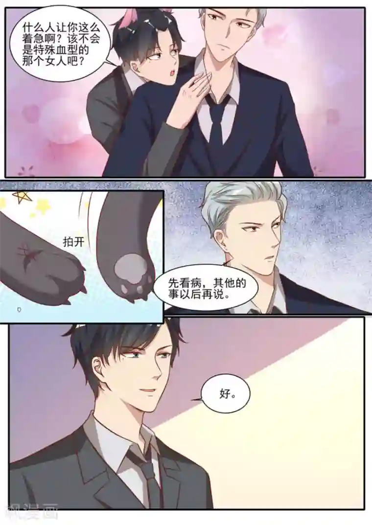 嗨，首领大人第41话