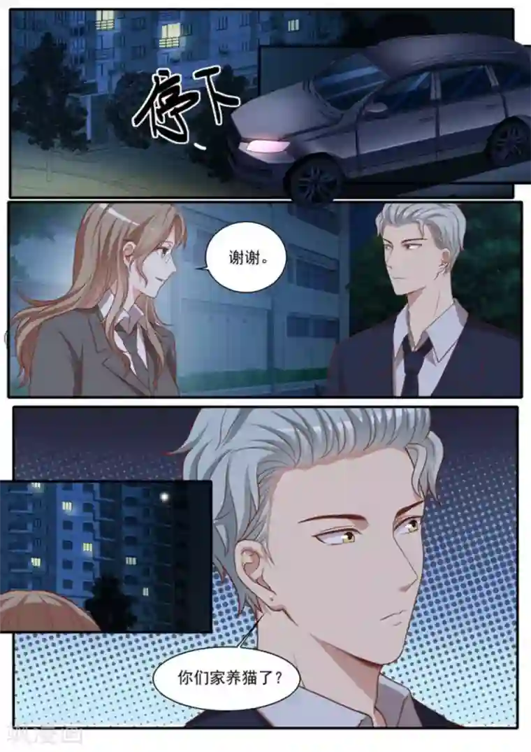 嗨，首领大人第42话