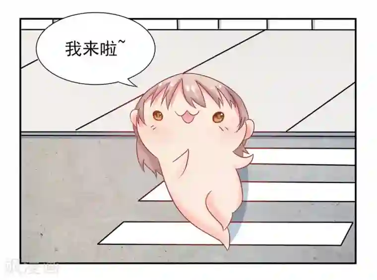 冤家小小鸟第11话