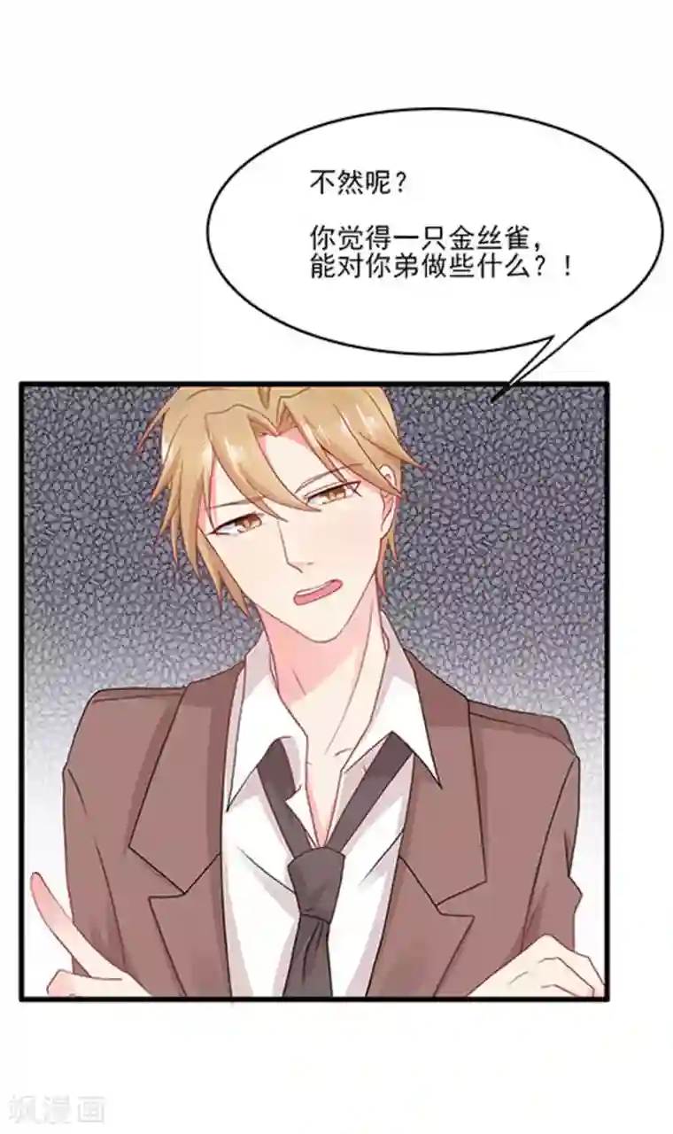 冤家小小鸟第67话