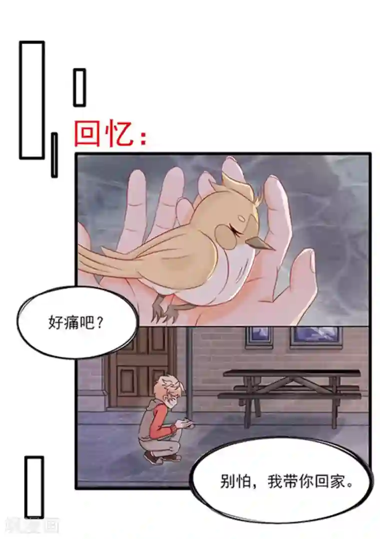 冤家小小鸟第67话