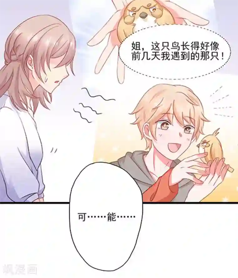 冤家小小鸟第67话