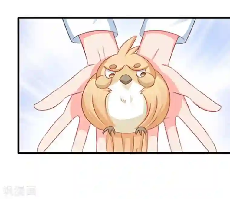 冤家小小鸟第67话