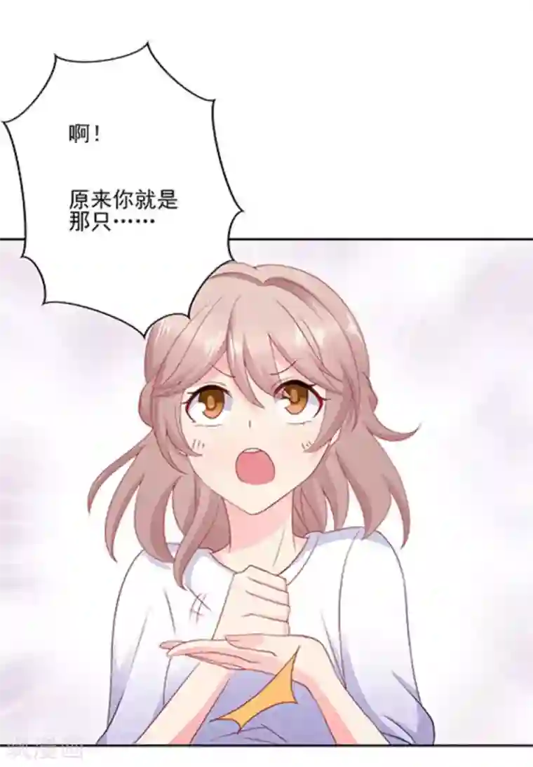 冤家小小鸟第67话