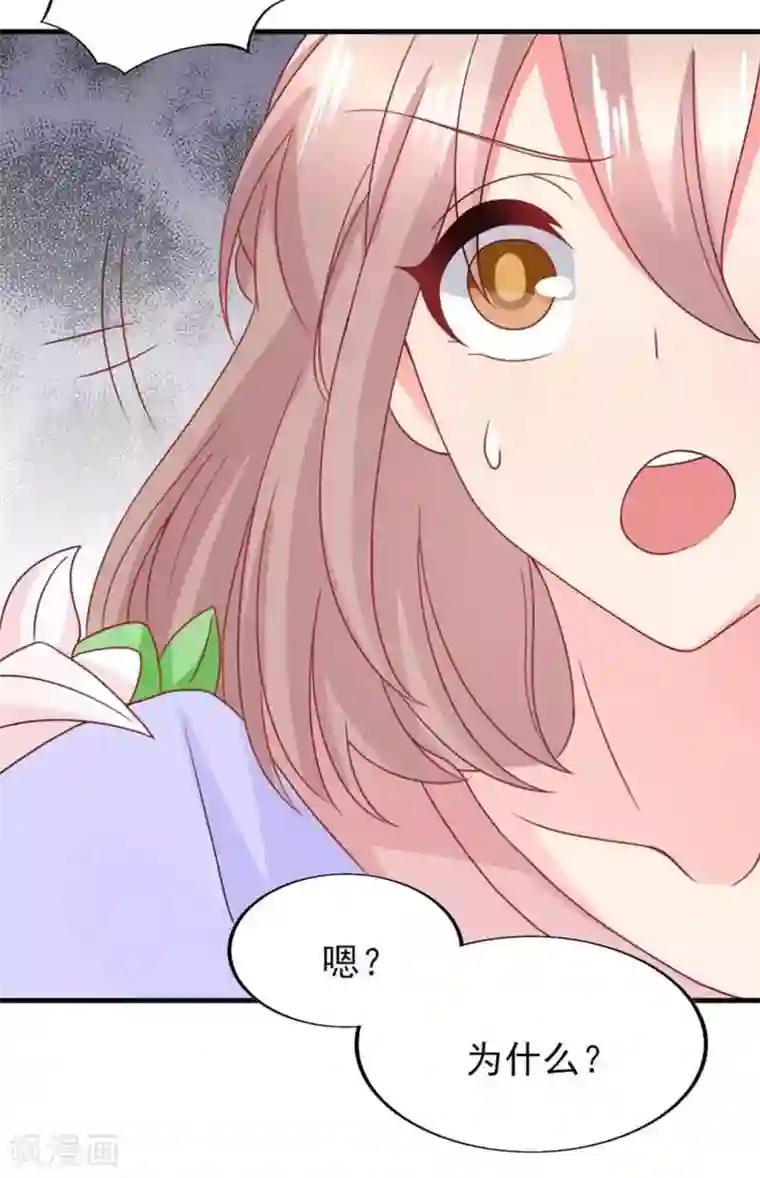 冤家小小鸟第81话