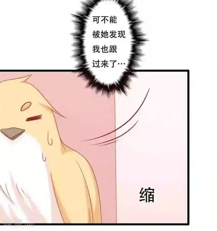 冤家小小鸟第99话