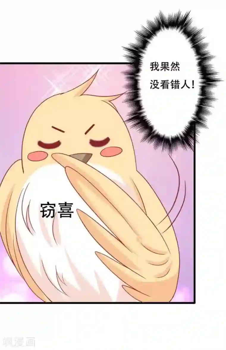 冤家小小鸟第99话