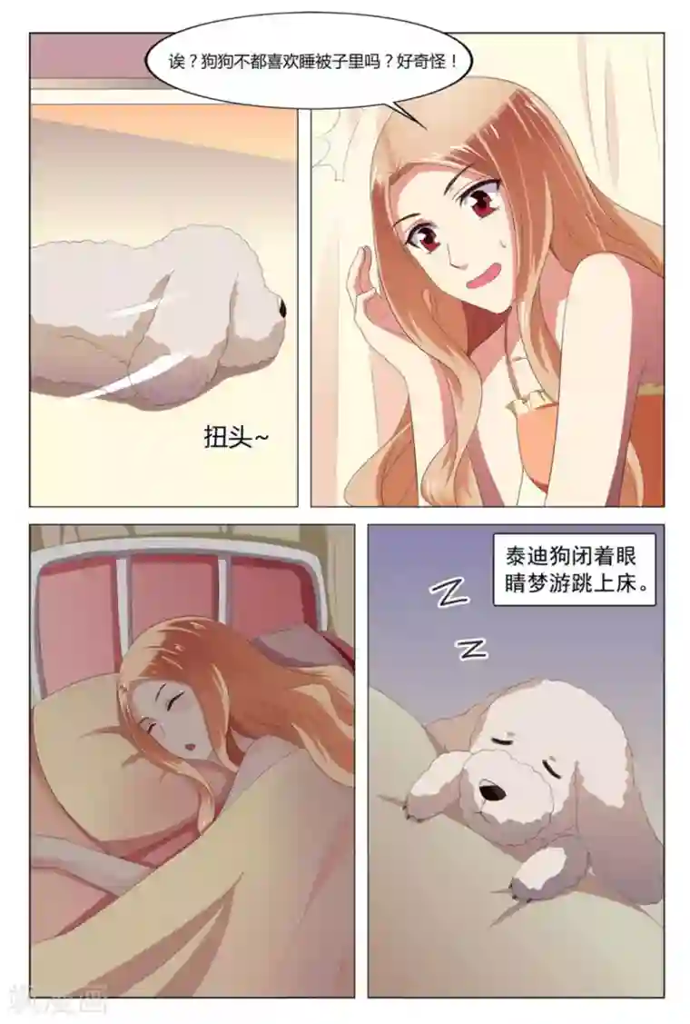 我的房东是泰迪第3话