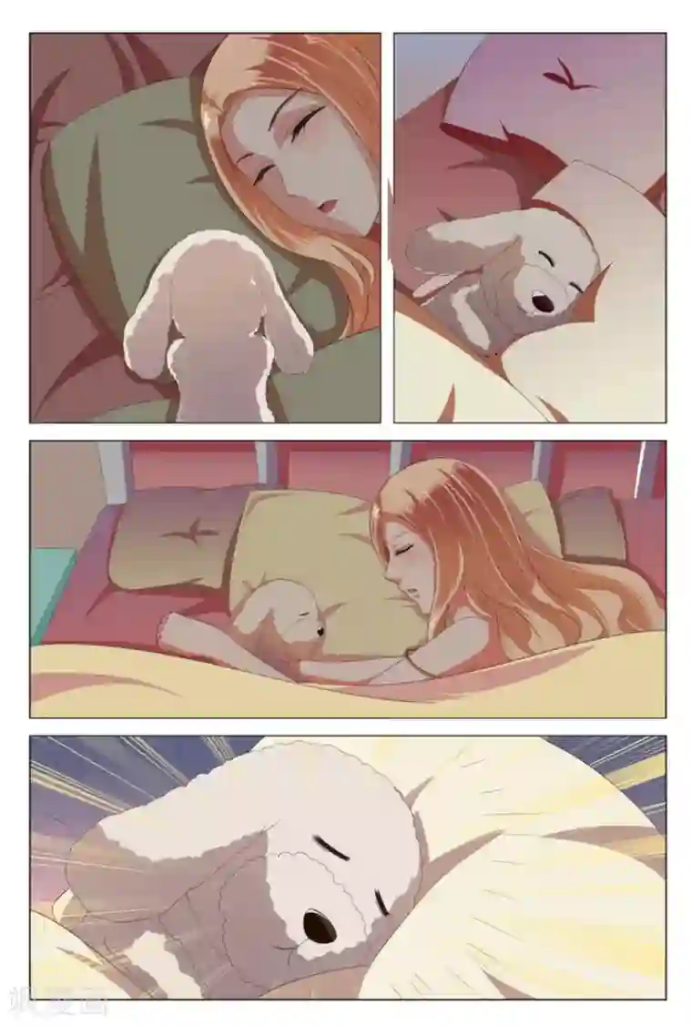 我的房东是泰迪第3话