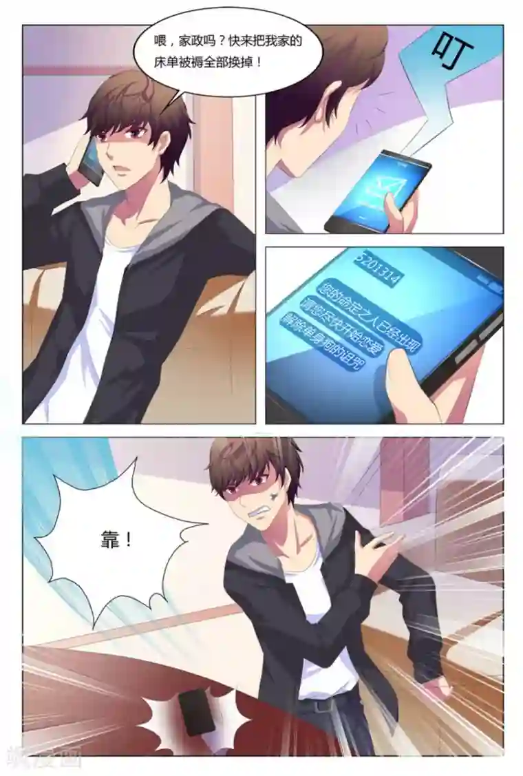 我的房东是泰迪第4话