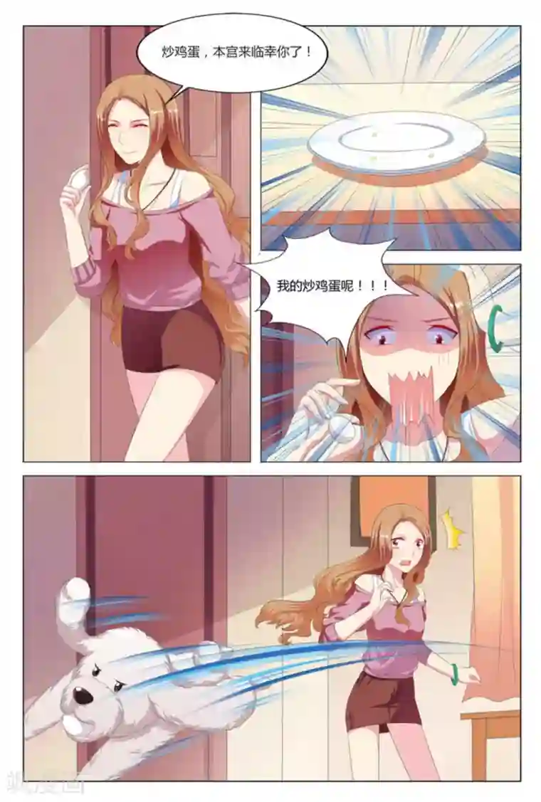 我的房东是泰迪第6话