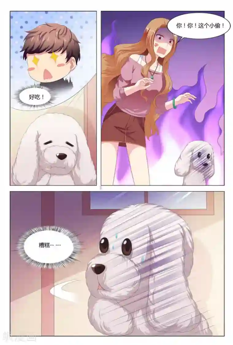 我的房东是泰迪第6话