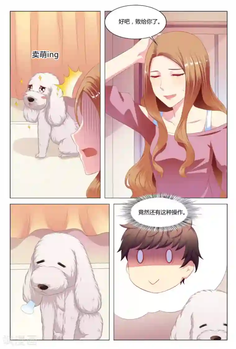 我的房东是泰迪第6话