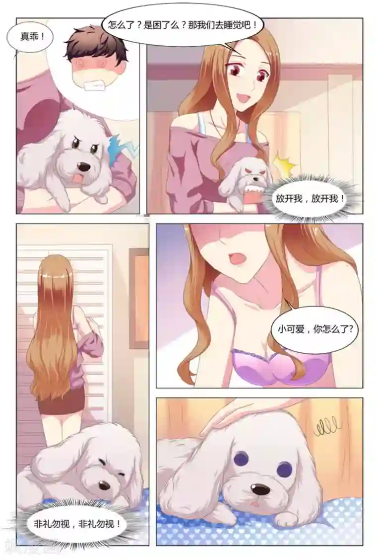 我的房东是泰迪第6话