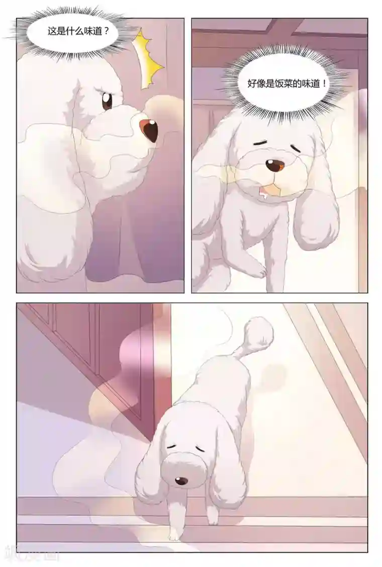 我的房东是泰迪第6话