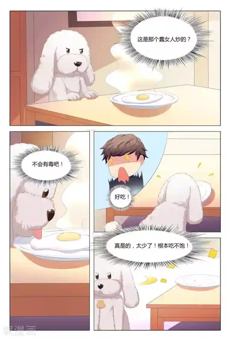 我的房东是泰迪第6话