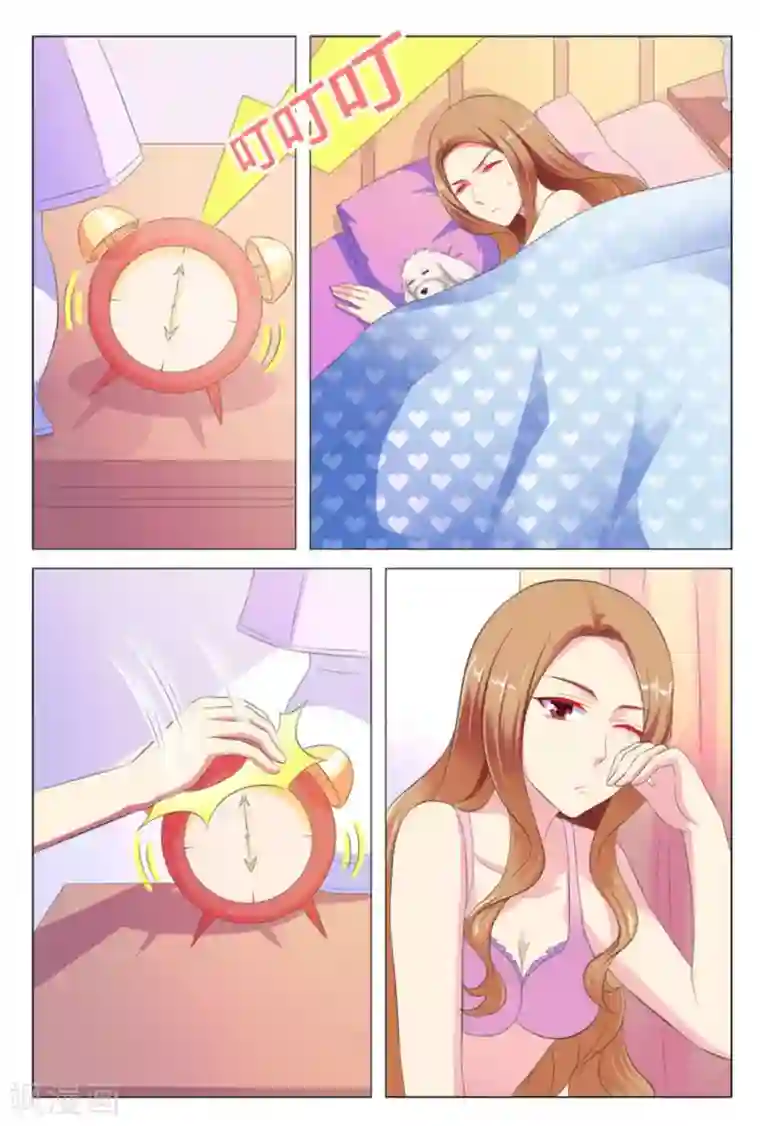 我的房东是泰迪第7话