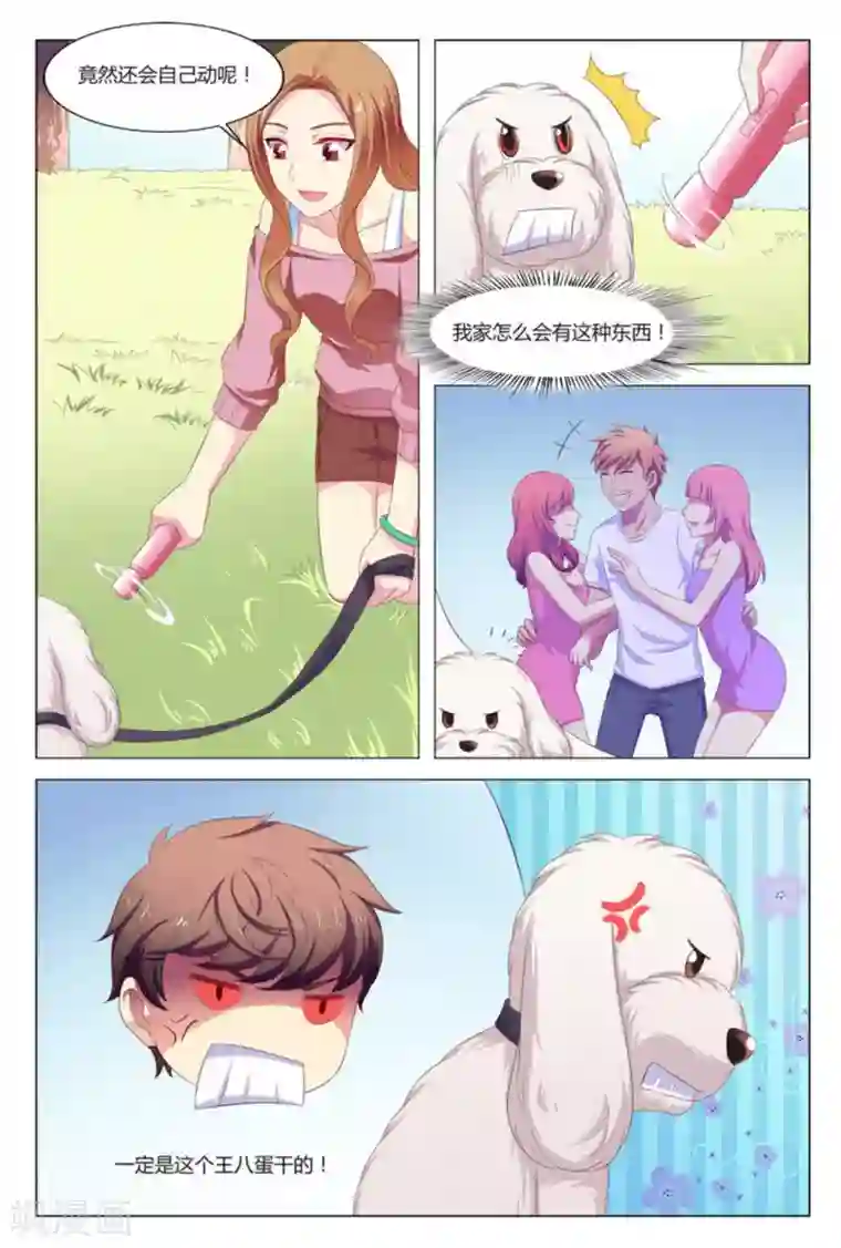 我的房东是泰迪第7话