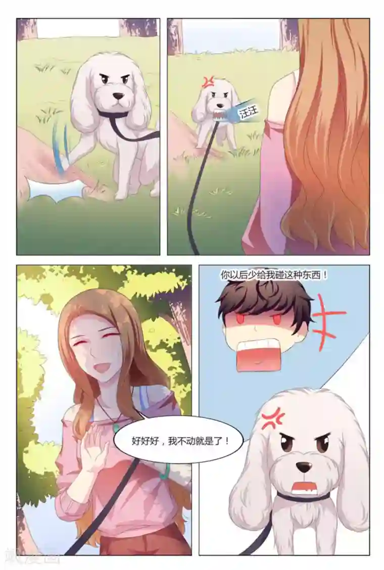 我的房东是泰迪第7话