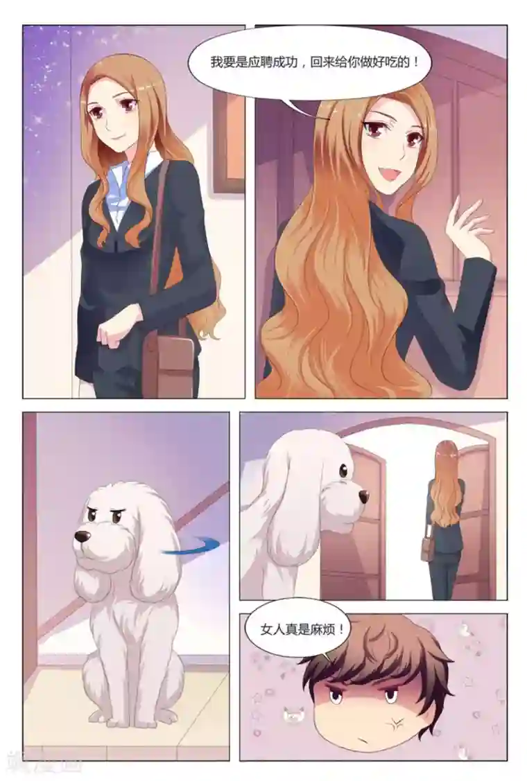 我的房东是泰迪第7话