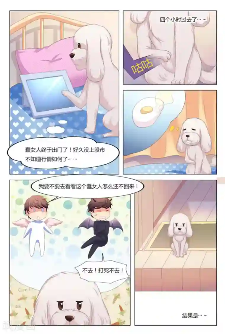 我的房东是泰迪第7话