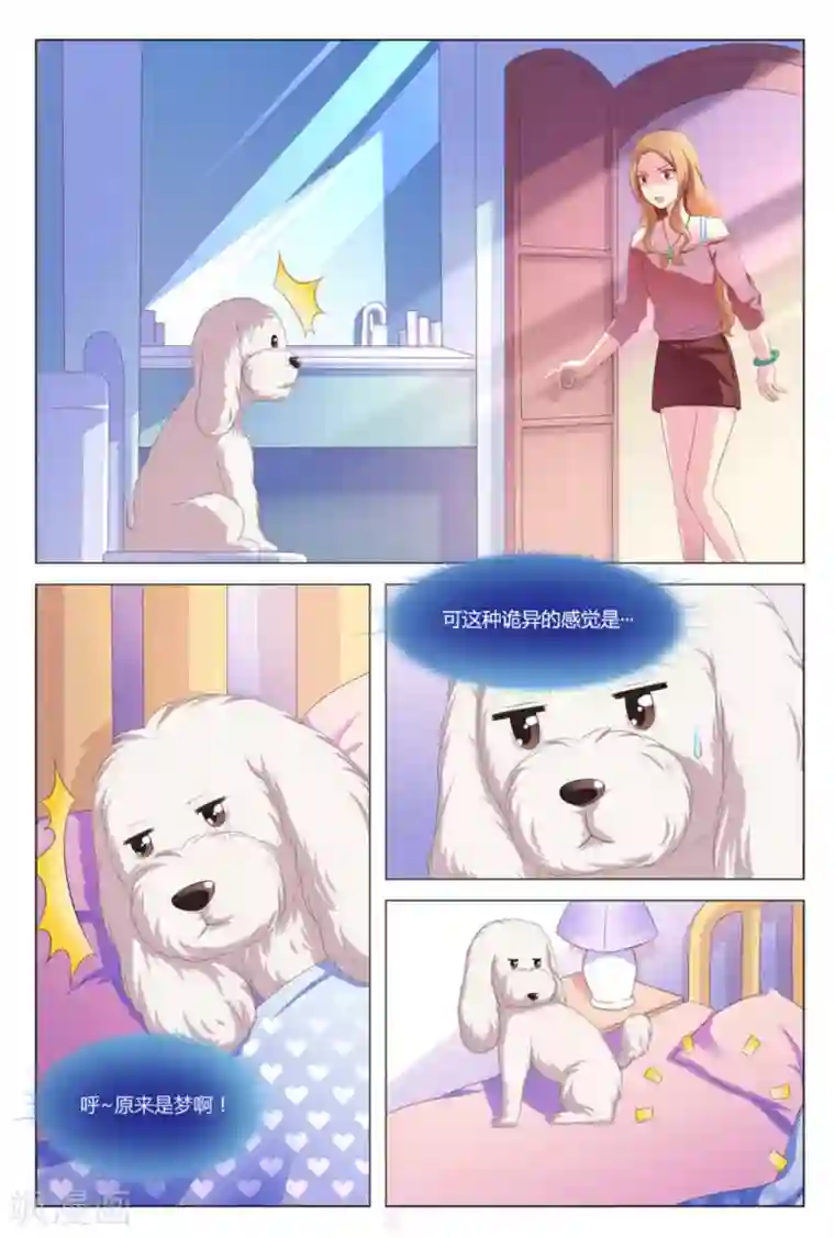 我的房东是泰迪第7话