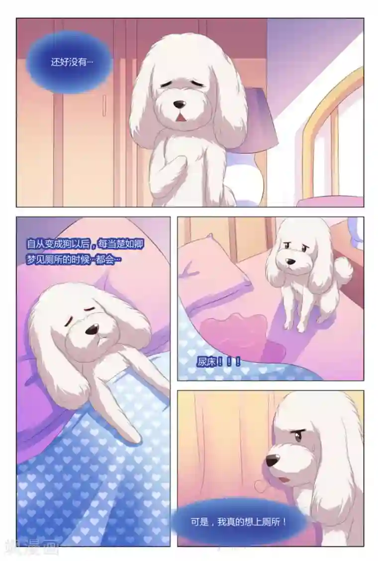 我的房东是泰迪第7话