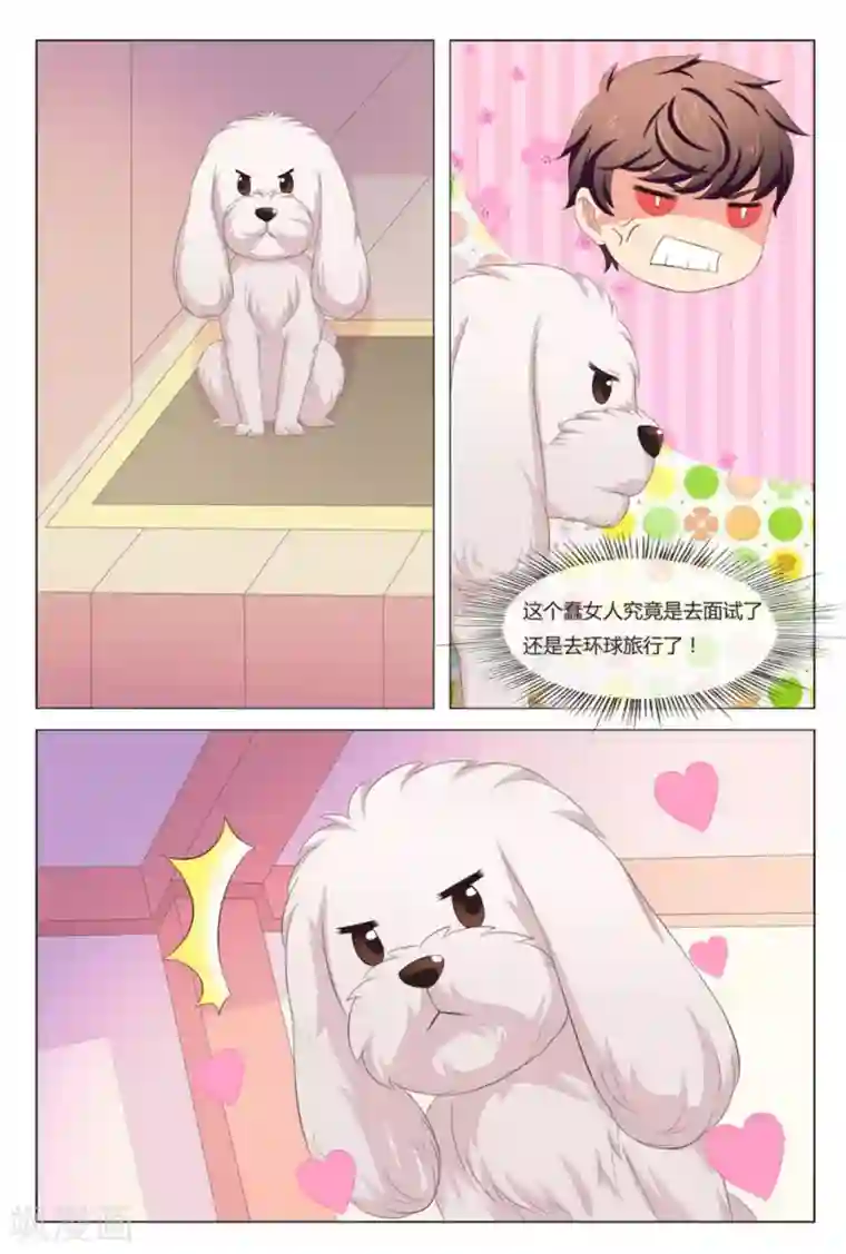 我的房东是泰迪第8话