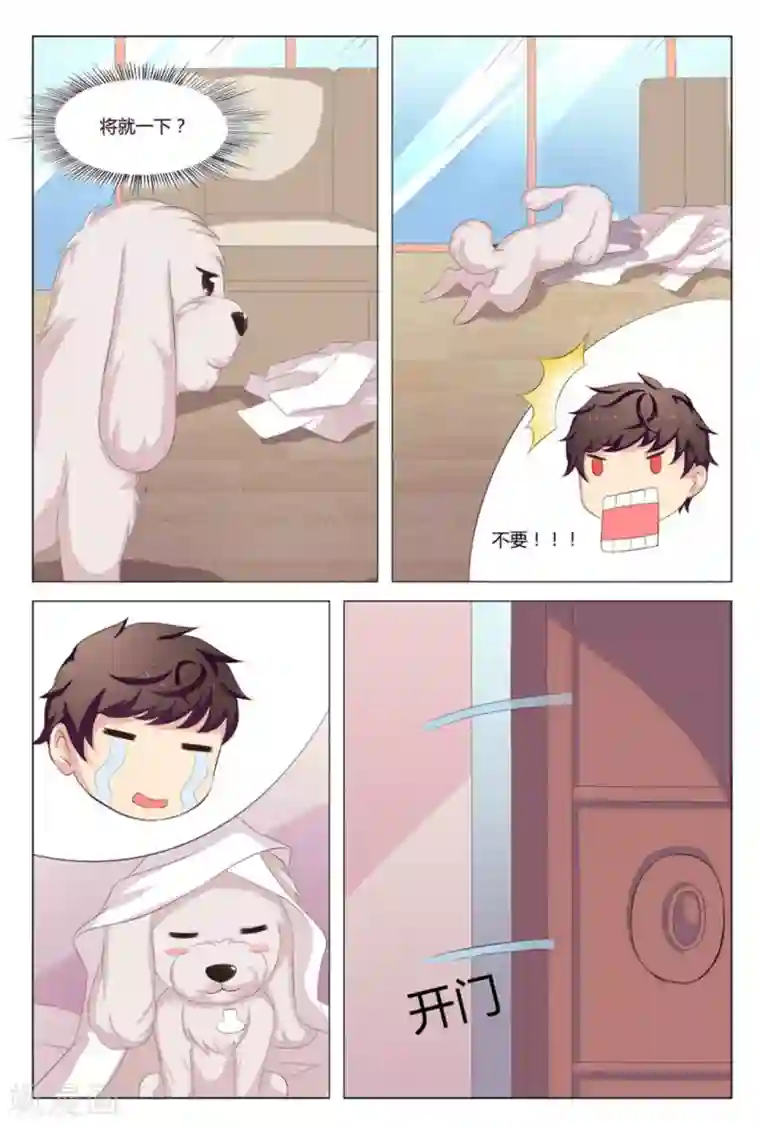 我的房东是泰迪第9话