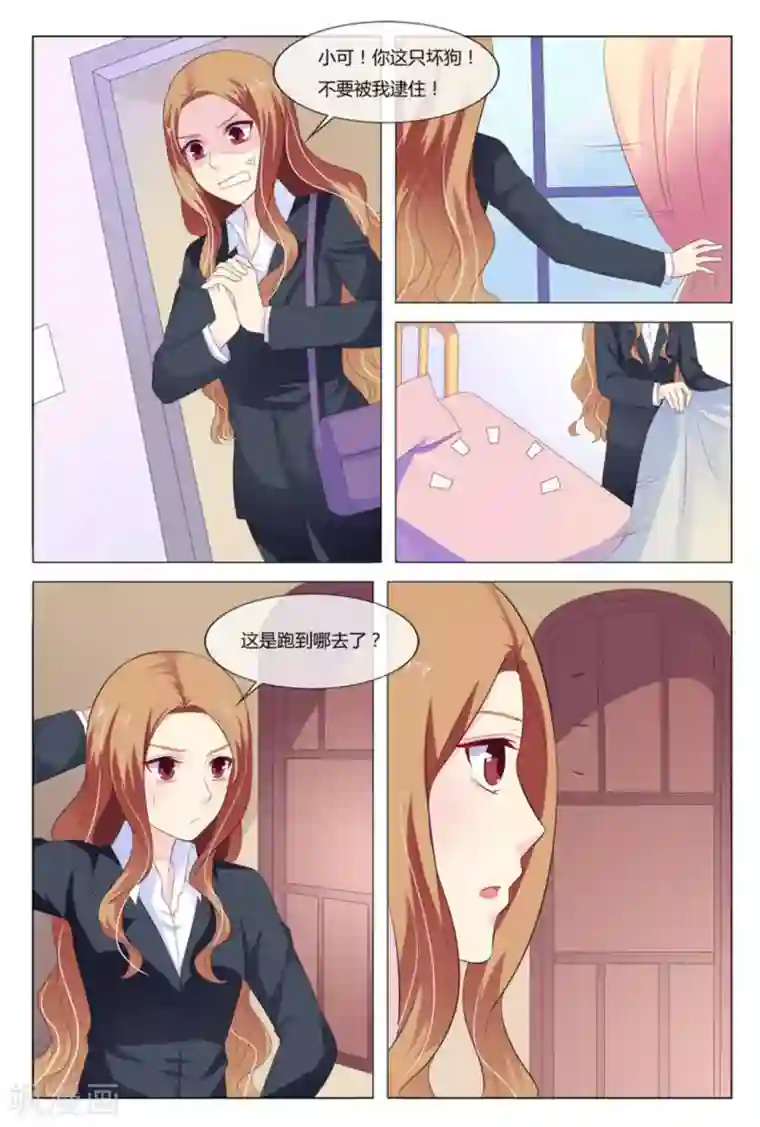 我的房东是泰迪第9话