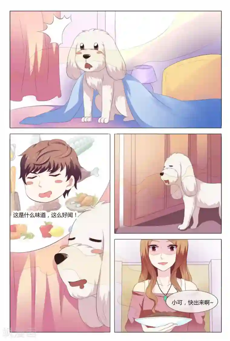 我的房东是泰迪第9话