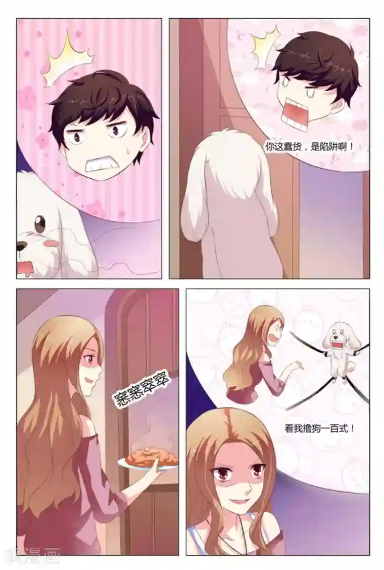 我的房东是泰迪第9话