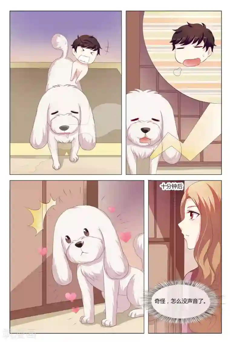 我的房东是泰迪第9话